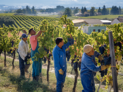 Comment instaurer des quotas de travailleurs migrants temporaires adaptés aux saisons agricoles sans accroître la précarité?